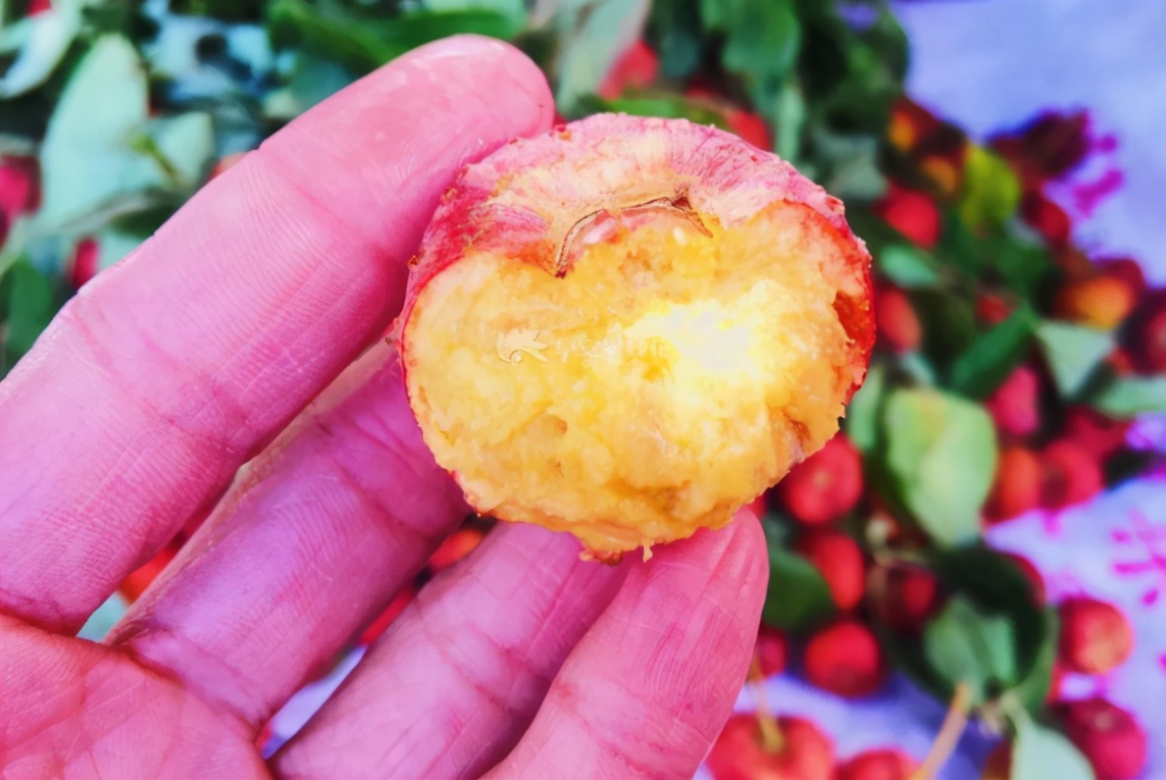 ������֦��ũ���޵�ˮ���ԣ�����ܶ���û��������������15Ԫ1��