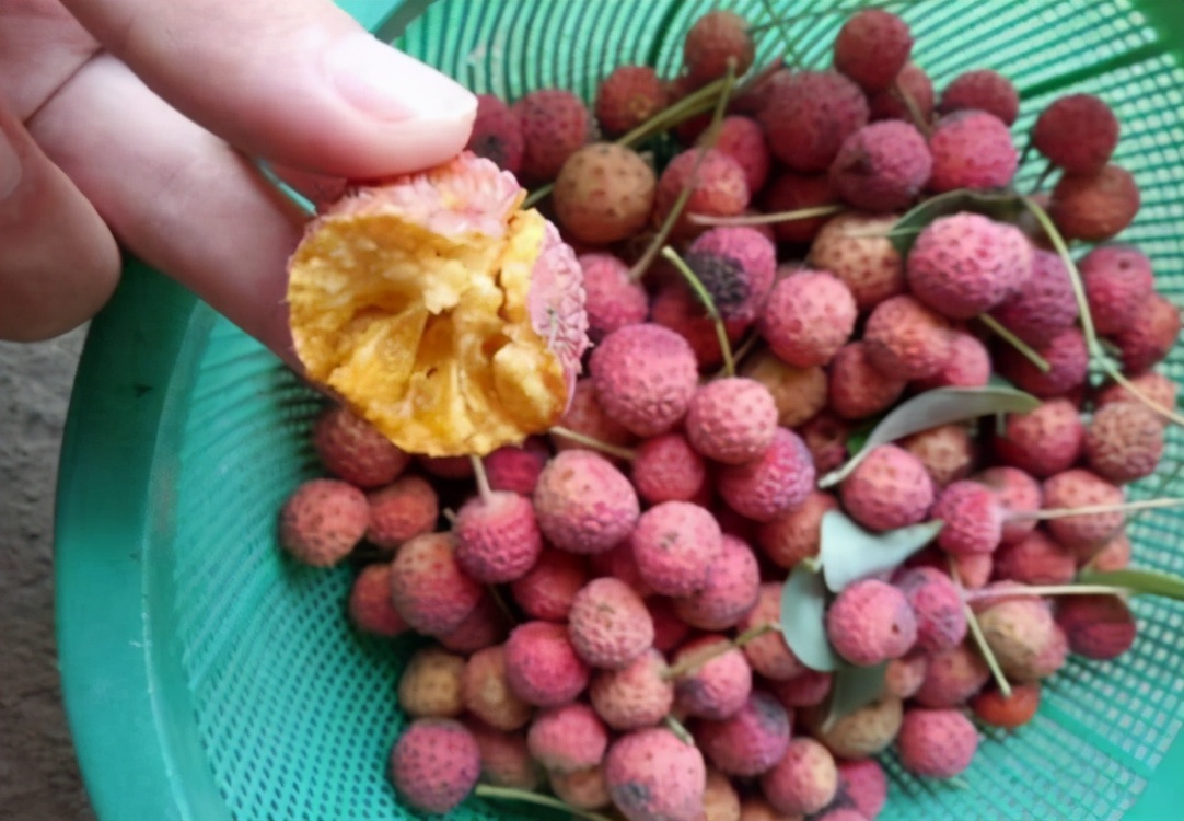 ������֦��ũ���޵�ˮ���ԣ�����ܶ���û��������������15Ԫ1��