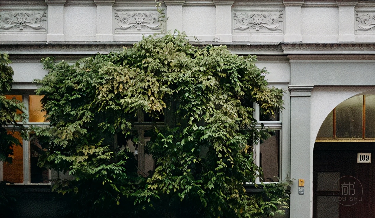 ��δ�ϸ�ڿ�͸һ���ˣ�35��ʶ�˼��ɸ����㣡