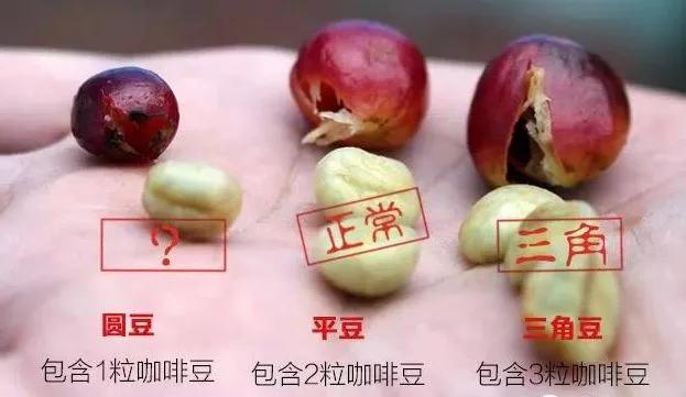 ��ҽ���ɿ���