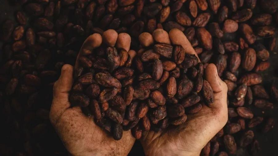 ��ҽ���ɿ���