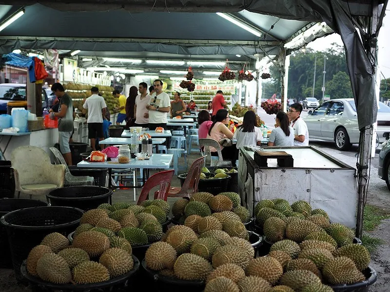 ����������ʵ���������ɵ��ˣ�����̩��