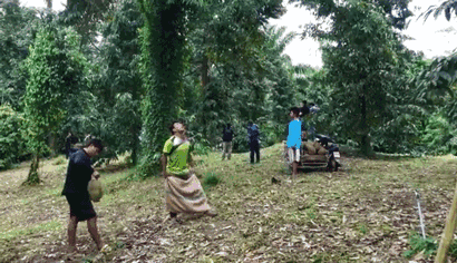 ����������ʵ���������ɵ��ˣ�����̩��