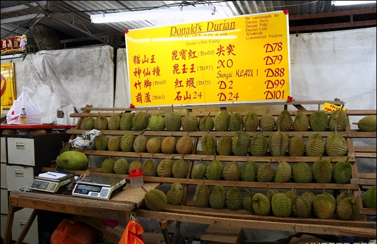 ����������ʵ���������ɵ��ˣ�����̩��