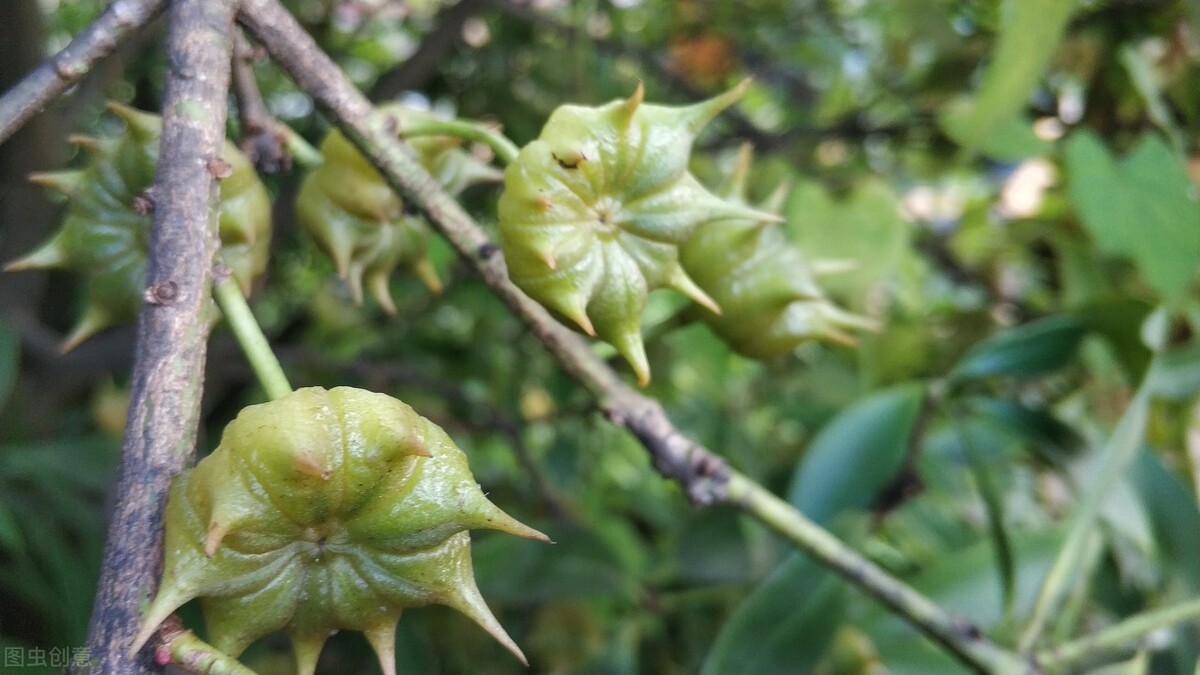 ��Ϊ��Һ̬��ζ���������飬���˽���ǧ�������