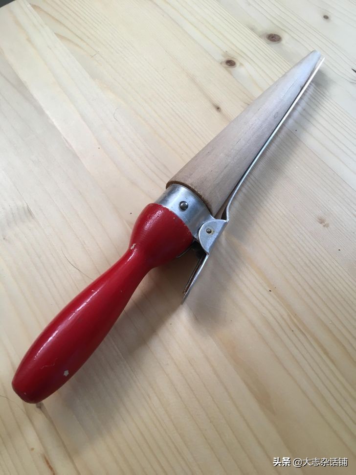 ������õ�18���������ߣ������ܴ�δ��������ͥ����Ҳ�ǳ�ʵ��