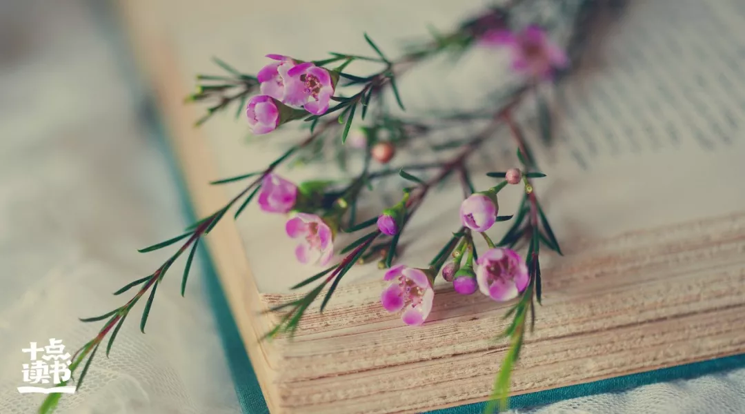 ���Ϊ�˴���������33��Ǳ����2021�ؿ��棩