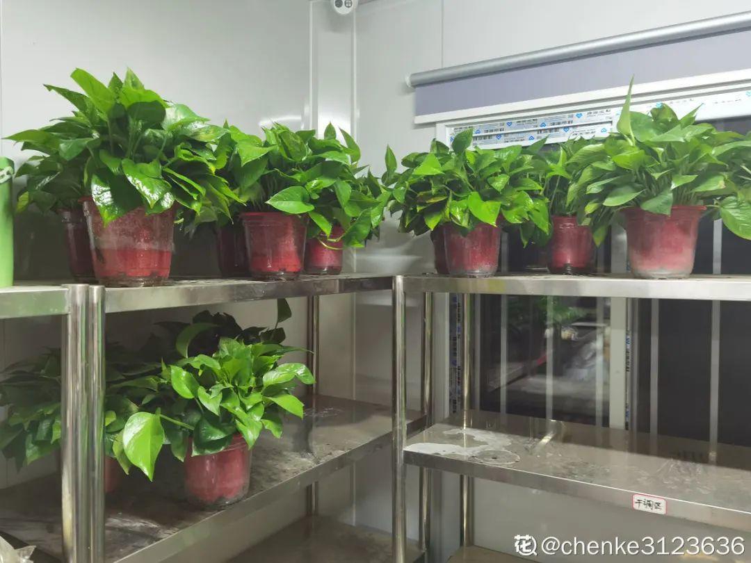 ����Ҷ�ӡ��¡�ˮ�飬��ϲ�㣬���������״̬