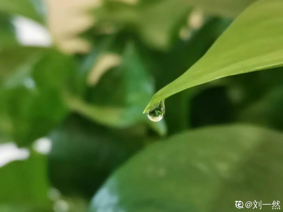 ����Ҷ�ӡ��¡�ˮ�飬��ϲ�㣬���������״̬