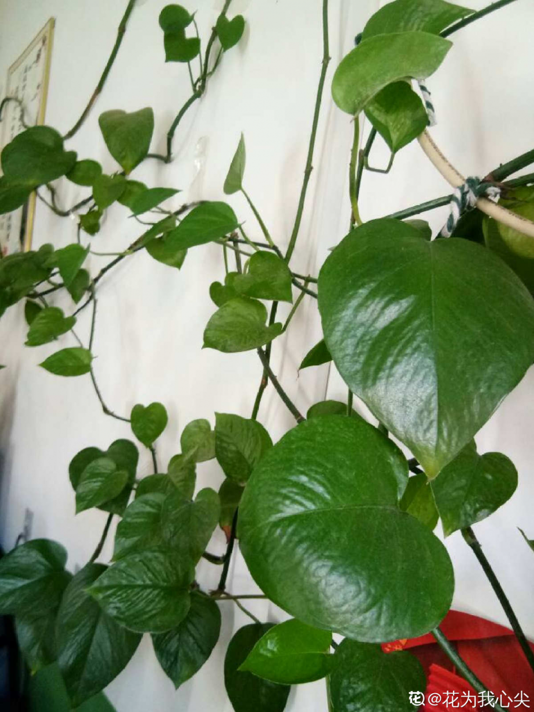 ����Ҷ�ӡ��¡�ˮ�飬��ϲ�㣬���������״̬