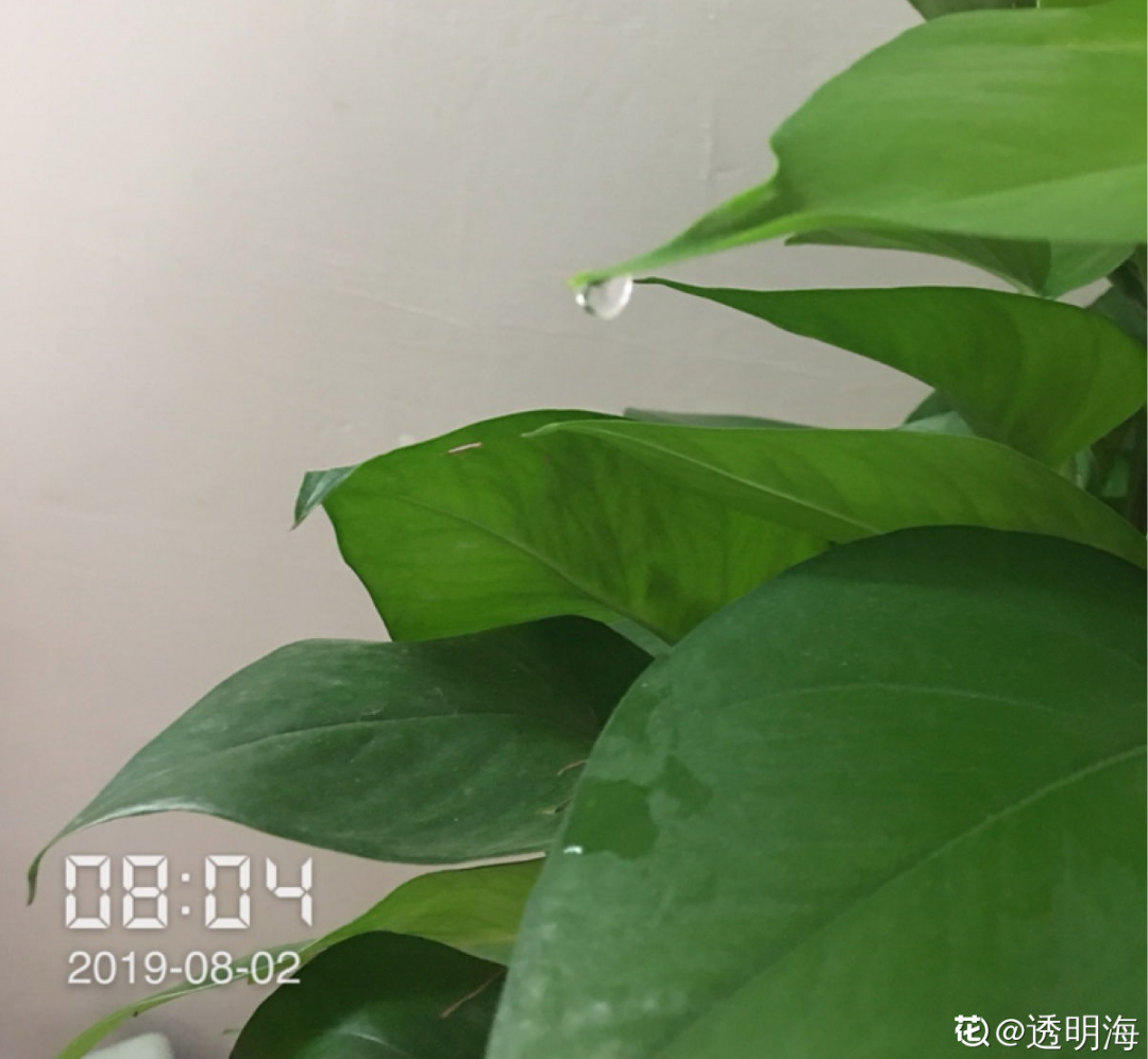 ����Ҷ�ӡ��¡�ˮ�飬��ϲ�㣬���������״̬