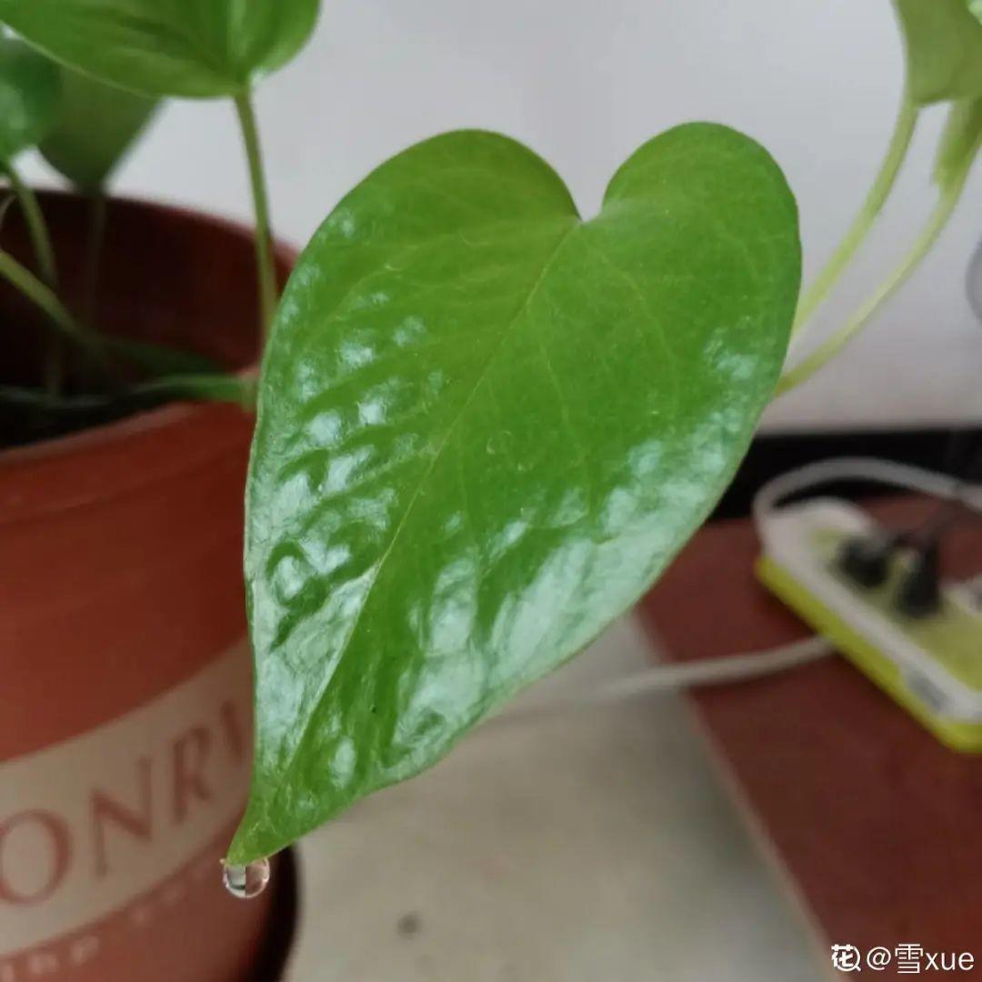 ����Ҷ�ӡ��¡�ˮ�飬��ϲ�㣬���������״̬