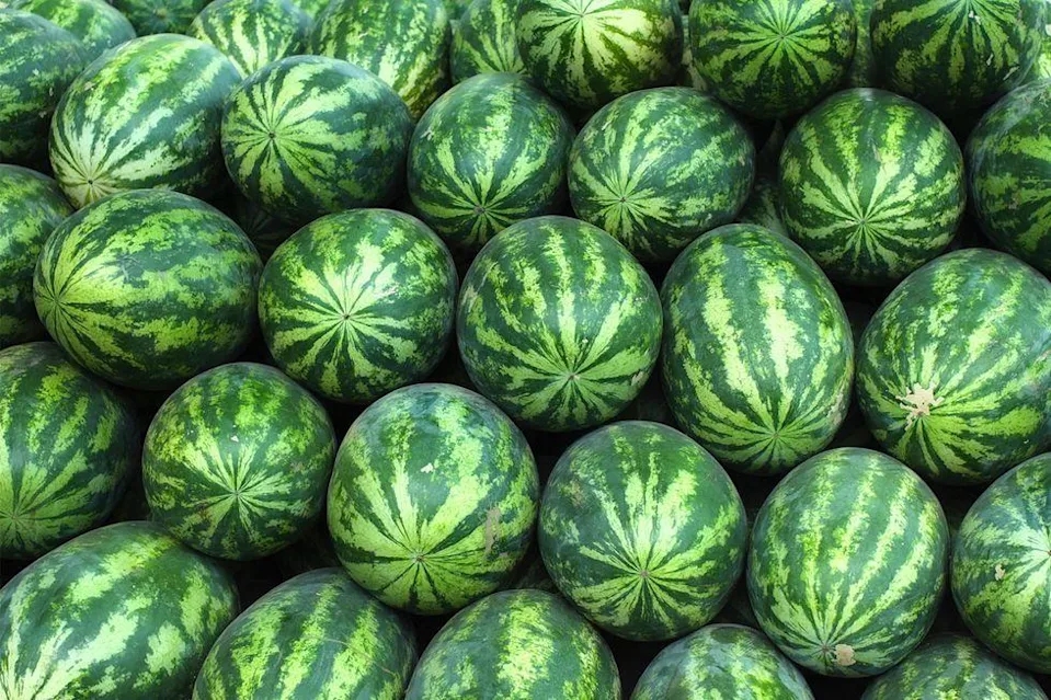 32���������Ӧ�÷��ڱ������ʳ��