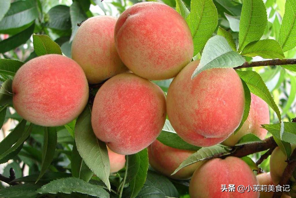 �����������࣬5�ּ���ˮ��Ҫ��ԣ������������Ӧ��Ӫ��������