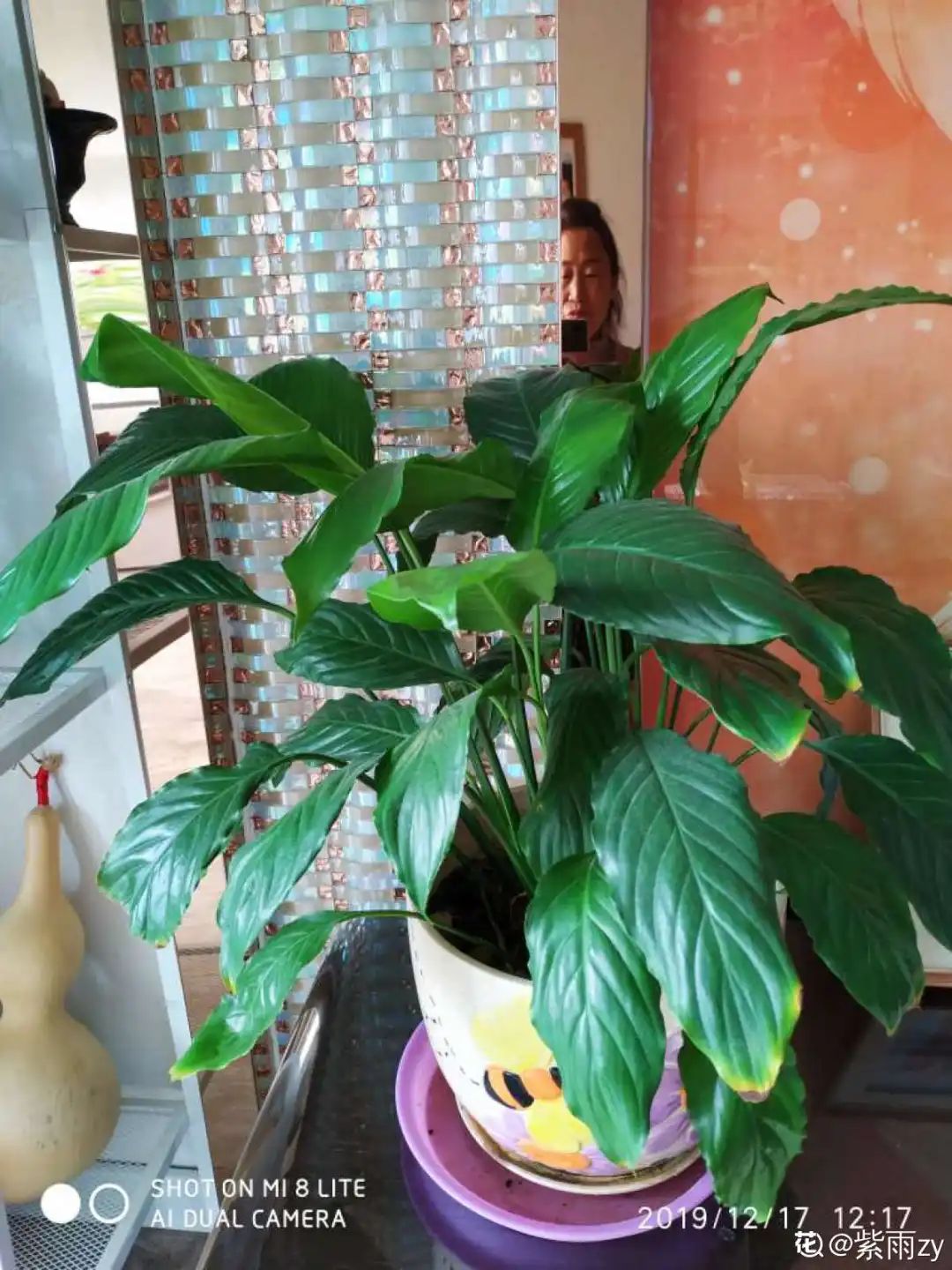 ��ס�֣���10��ֲ��ǧ���ɹ��ɹ��Խ�࣬����Խ��