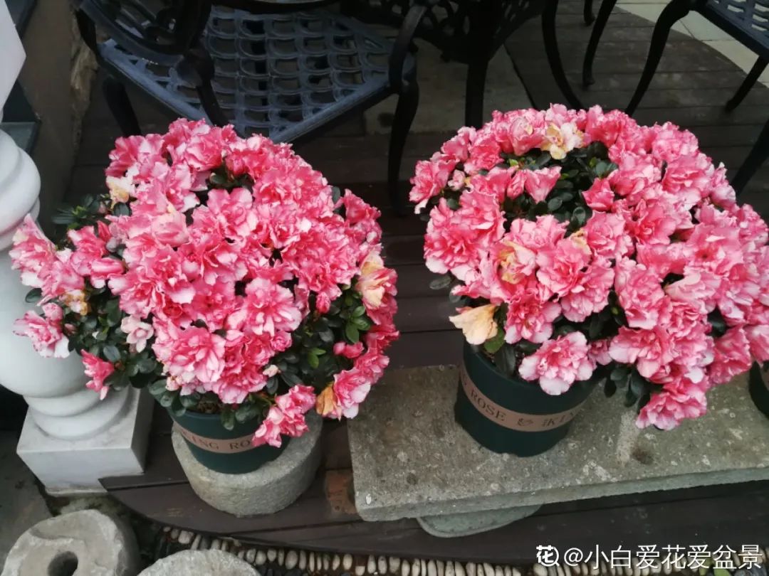 ��ס�֣���10��ֲ��ǧ���ɹ��ɹ��Խ�࣬����Խ��