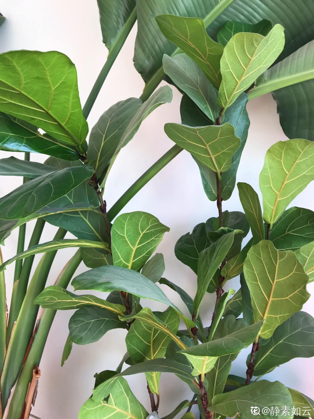 ��ס�֣���10��ֲ��ǧ���ɹ��ɹ��Խ�࣬����Խ��