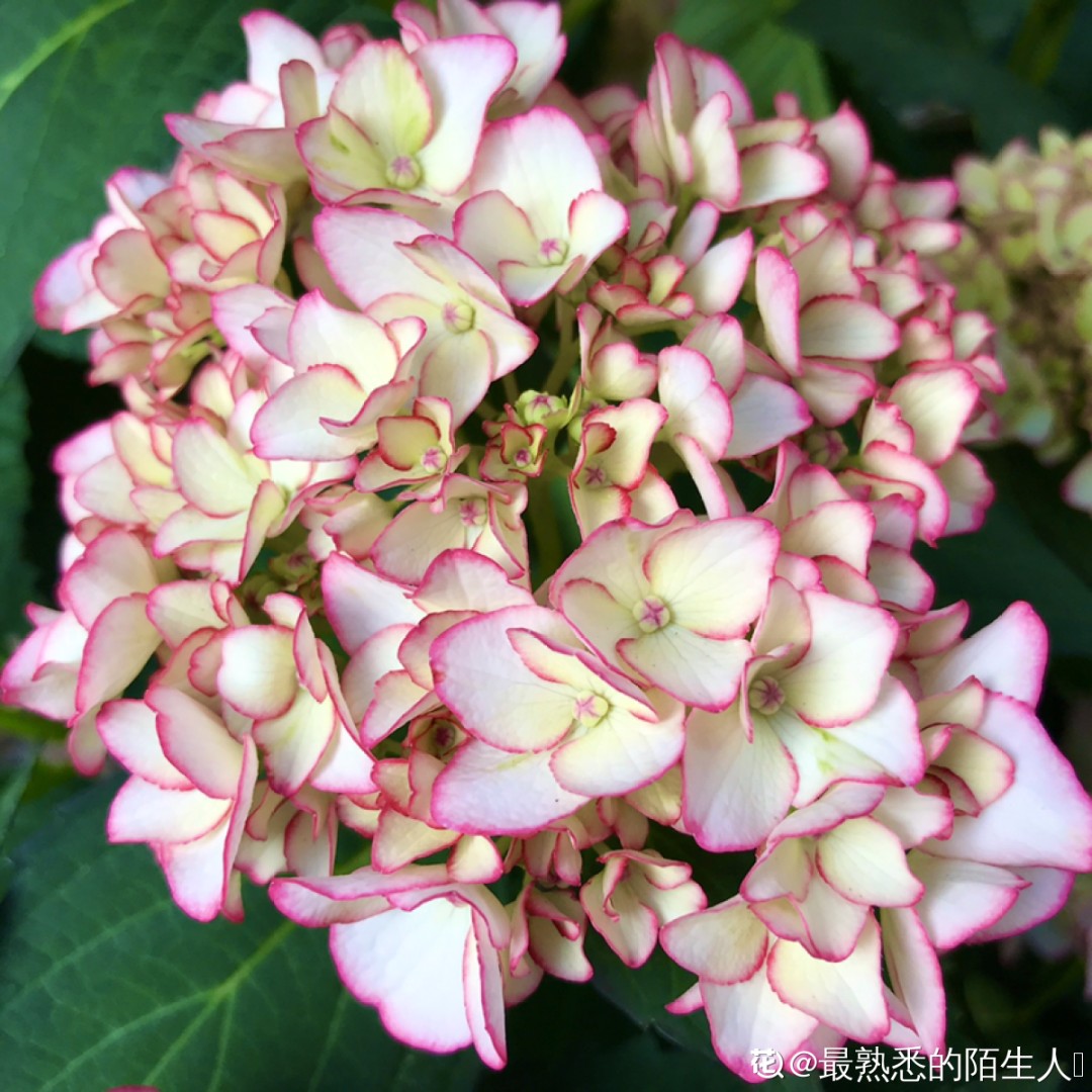 ��ס�֣���10��ֲ��ǧ���ɹ��ɹ��Խ�࣬����Խ��