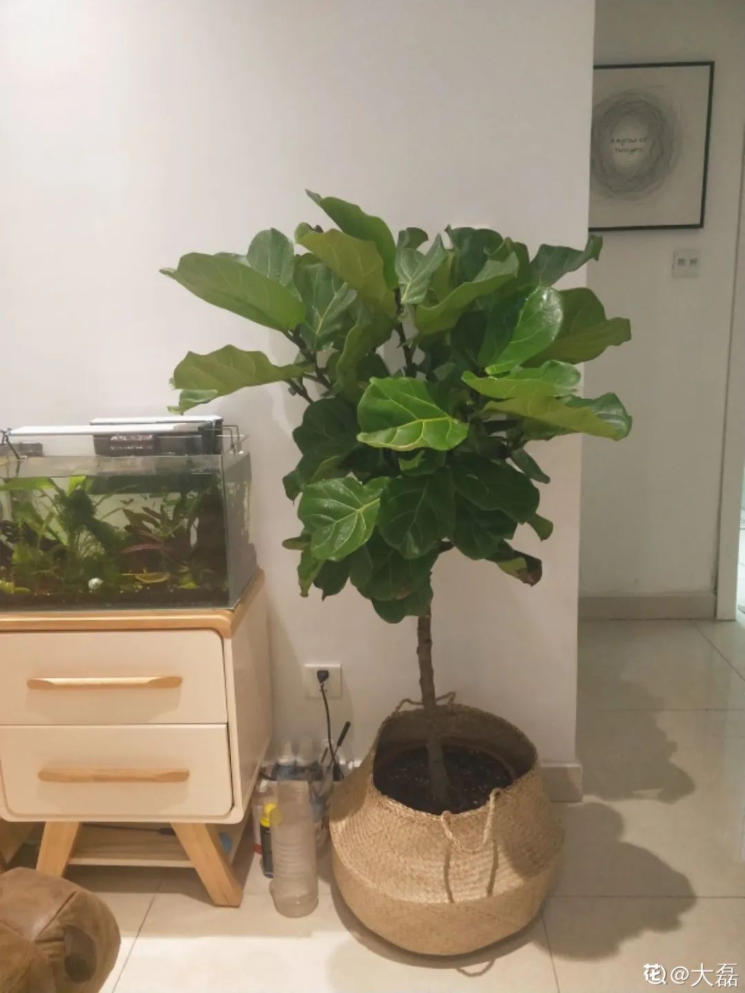 ��ס�֣���10��ֲ��ǧ���ɹ��ɹ��Խ�࣬����Խ��