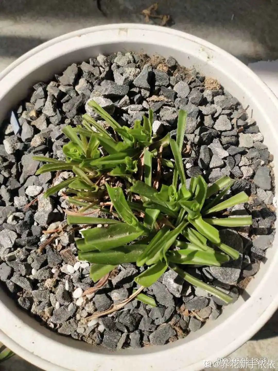 ��ס�֣���10��ֲ��ǧ���ɹ��ɹ��Խ�࣬����Խ��