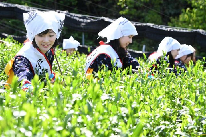 Ĩ������ʲô�������ɵģ�Ϊɶ��Ĩ�裿������ô���꣬����֪����