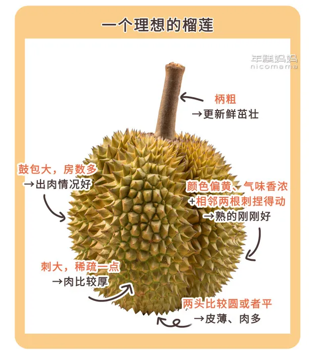 ��ô��������������������������޵��Ȼ���