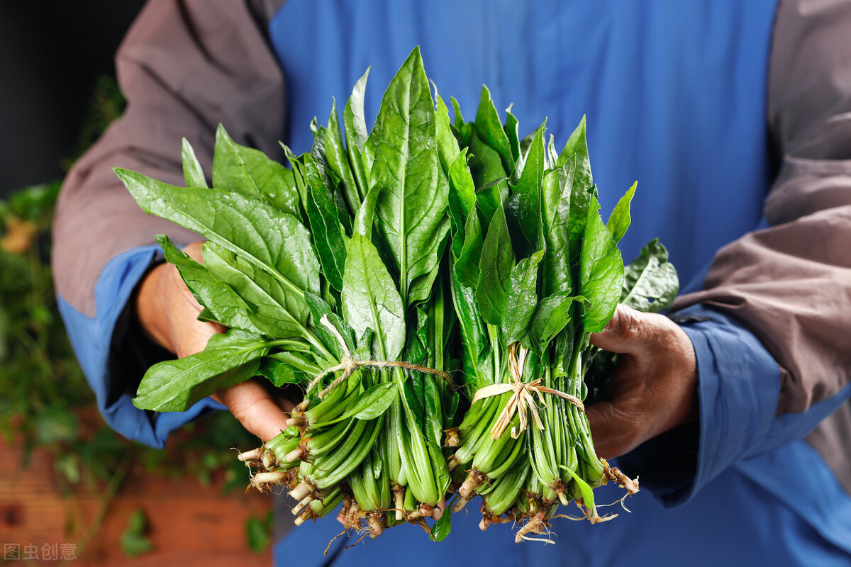 �����С������С��̡����ù��������أ����������Ū�������