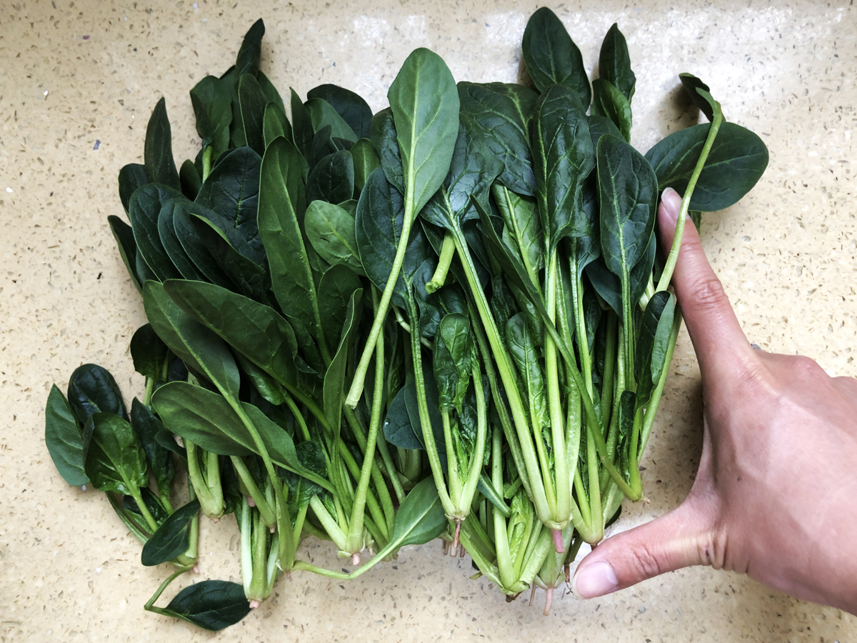 �����С������С��̡����ù��������أ����������Ū�������