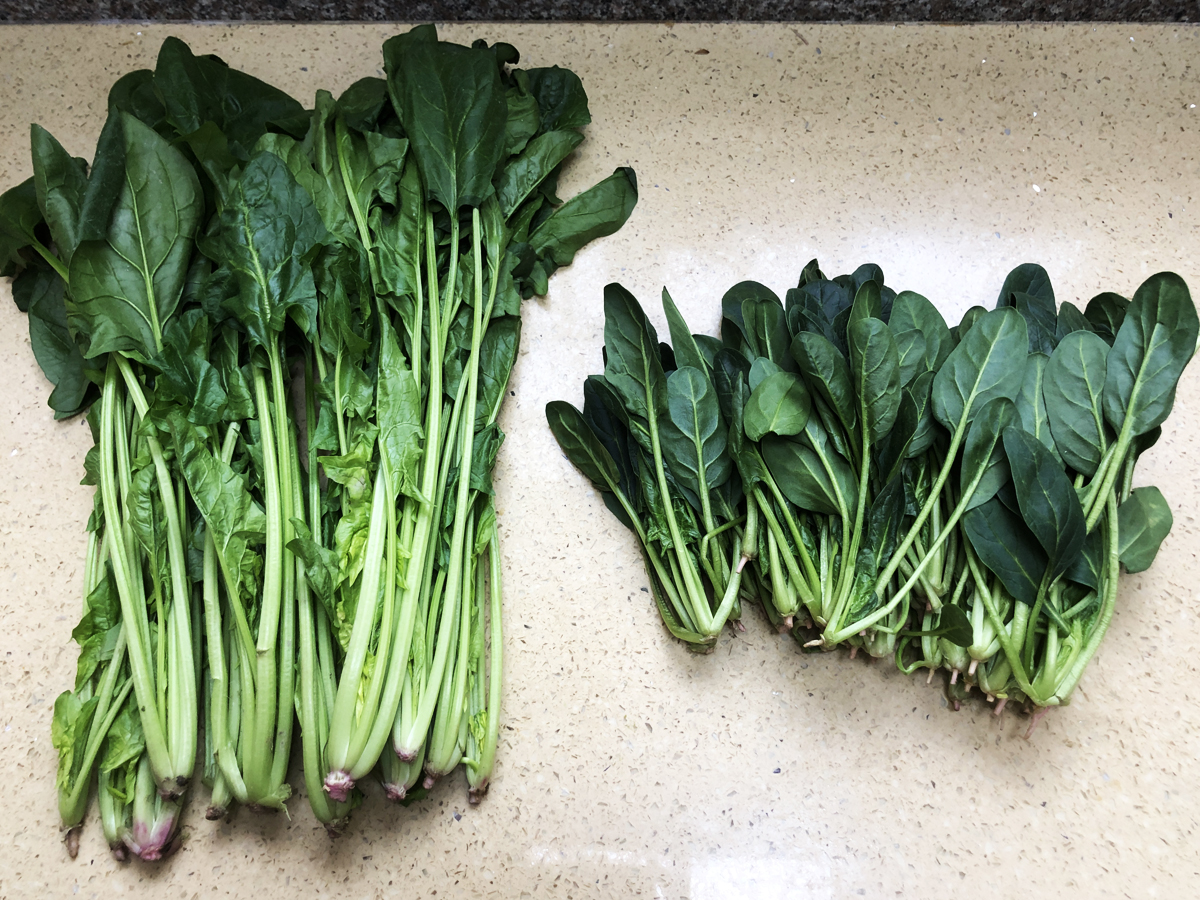 �����С������С��̡����ù��������أ����������Ū�������