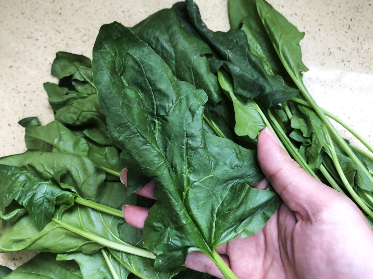 �����С������С��̡����ù��������أ����������Ū�������