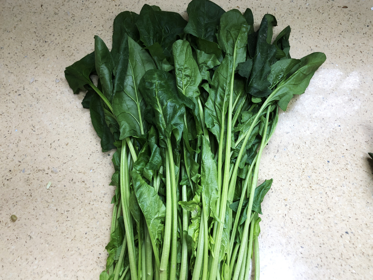 �����С������С��̡����ù��������أ����������Ū�������