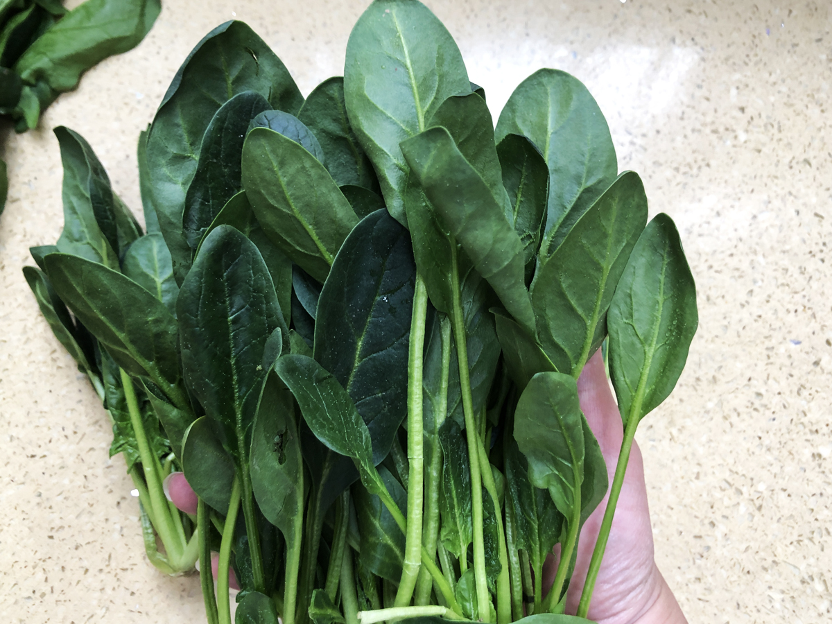 �����С������С��̡����ù��������أ����������Ū�������