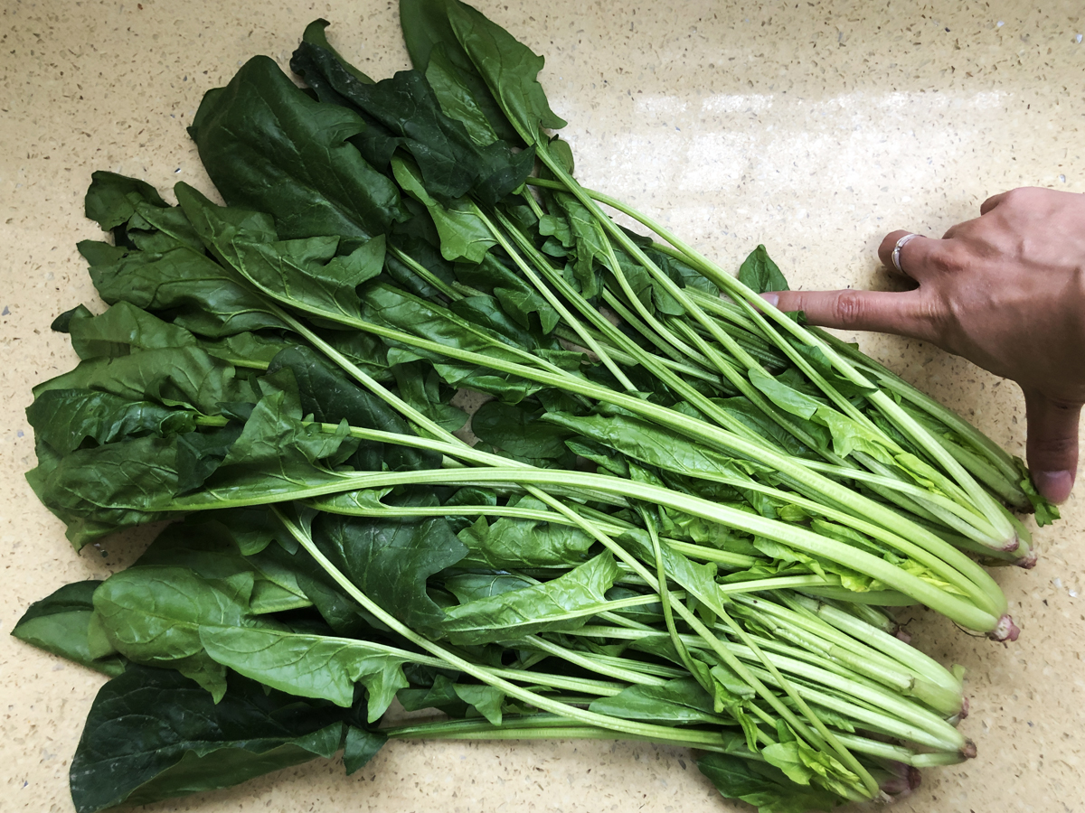 �����С������С��̡����ù��������أ����������Ū�������