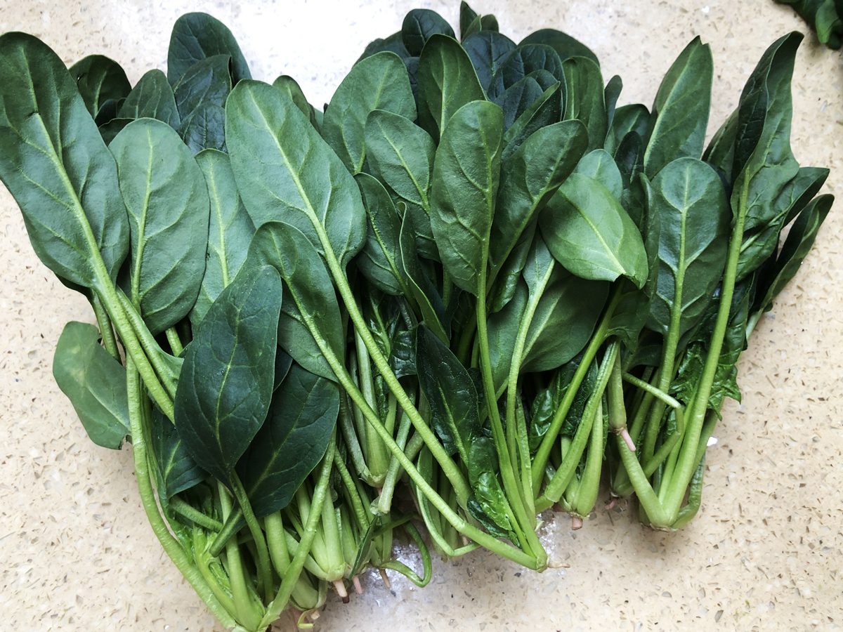 �����С������С��̡����ù��������أ����������Ū�������