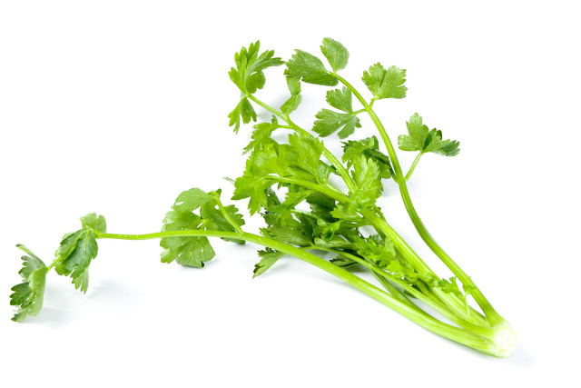 50�������߲˵���Ȥ��֪ʶ