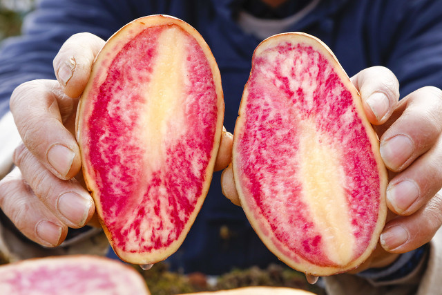 50�������߲˵���Ȥ��֪ʶ