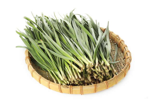 50�������߲˵���Ȥ��֪ʶ