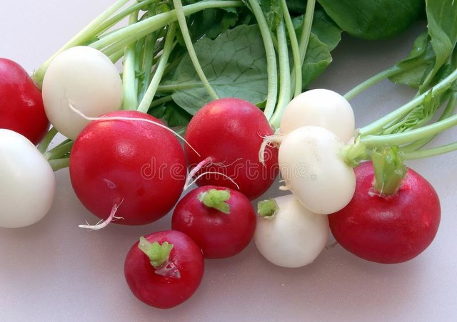 50�������߲˵���Ȥ��֪ʶ