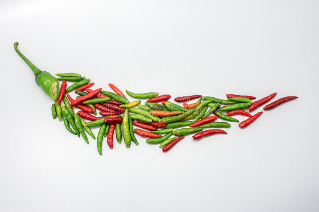 50�������߲˵���Ȥ��֪ʶ