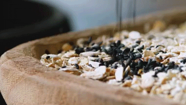 �⼸�������Ҫ�ٳ�