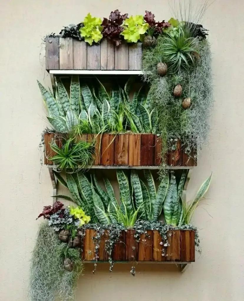 ���ױ�ˮ�����ġ�10�ֻ������������������̫��