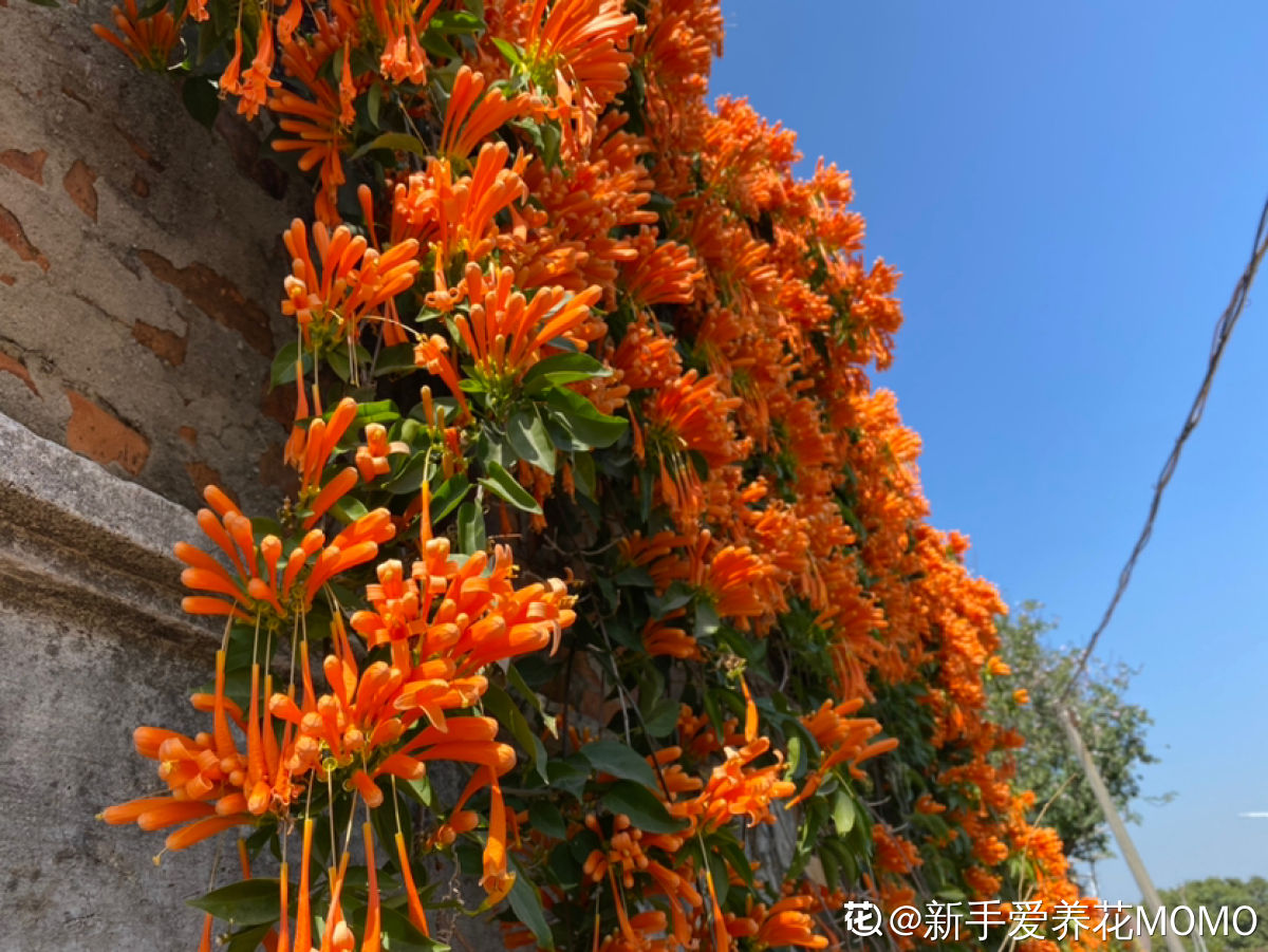 ǽ�����죡����4����ǽ�����Ҽҵ�Ժǽ�������վ���