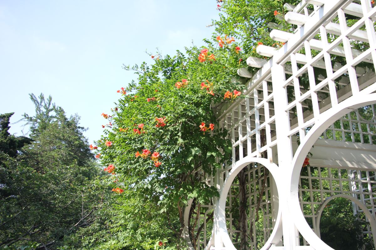 ǽ�����죡����4����ǽ�����Ҽҵ�Ժǽ�������վ���