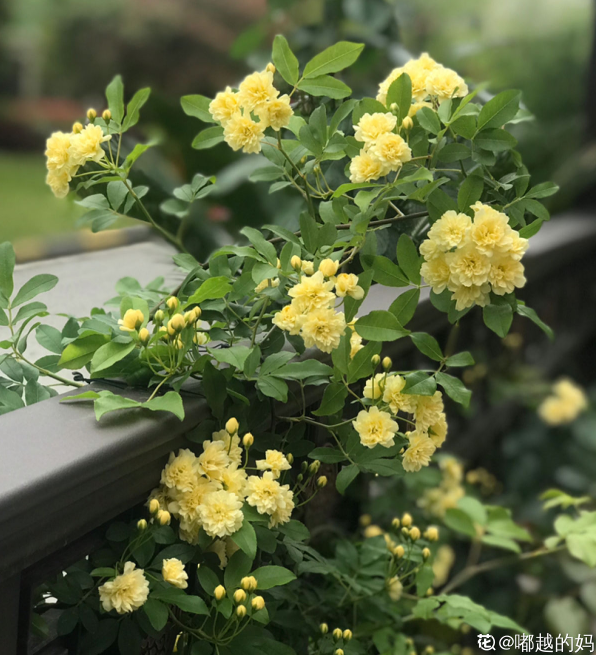 ǽ�����죡����4����ǽ�����Ҽҵ�Ժǽ�������վ���