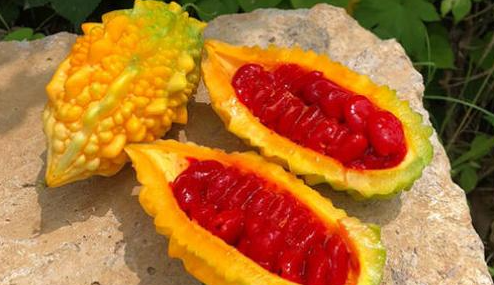 ������������ѡ���ʵ���ǿ�ϣ���ȥ���ǳ��ԣ�������������