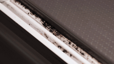 �ڶ���װ�ޣ����˷���������11���ҾӾ�������ס���ܴ�������һ��