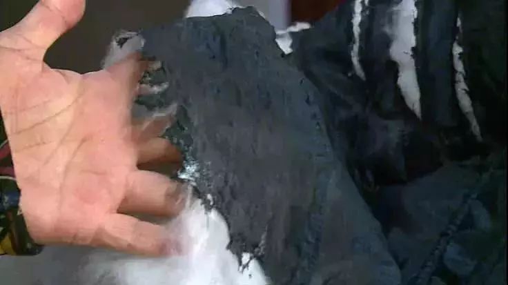 �ոջ������ˣ�˲���˾�û�ˣ��������7�������Ϊ������Ҫ֪��������ɢ