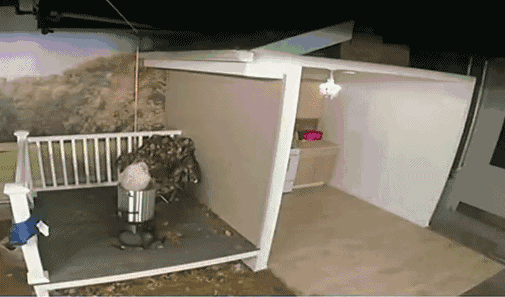 �ոջ������ˣ�˲���˾�û�ˣ��������7�������Ϊ������Ҫ֪��������ɢ