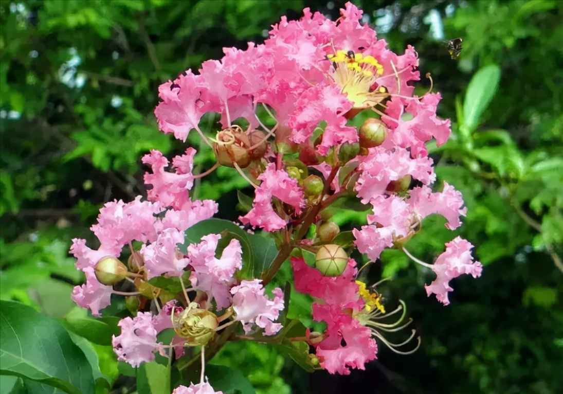 �ʺ�ͥԺ�ֵġ��Ĵ�������������������Ԣ��ã�Ԣ����Զ��ֵ��