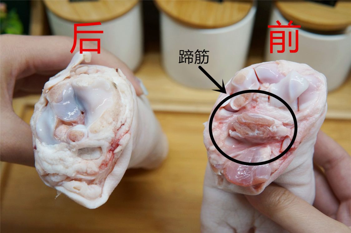 �����㣬���ܷ��塰ǰ�㡱�͡����㡱��4����������ԣ������